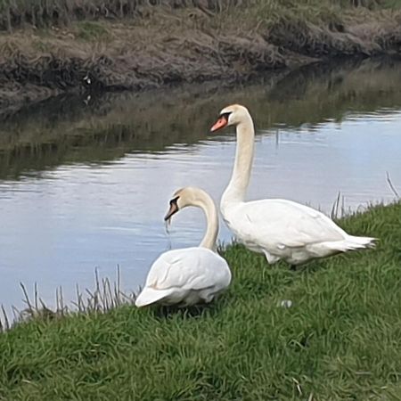 Delightful Cottage On The River Adur Close To Brighton & The Downs No Dogs Sorry Upper Beeding Zewnętrze zdjęcie