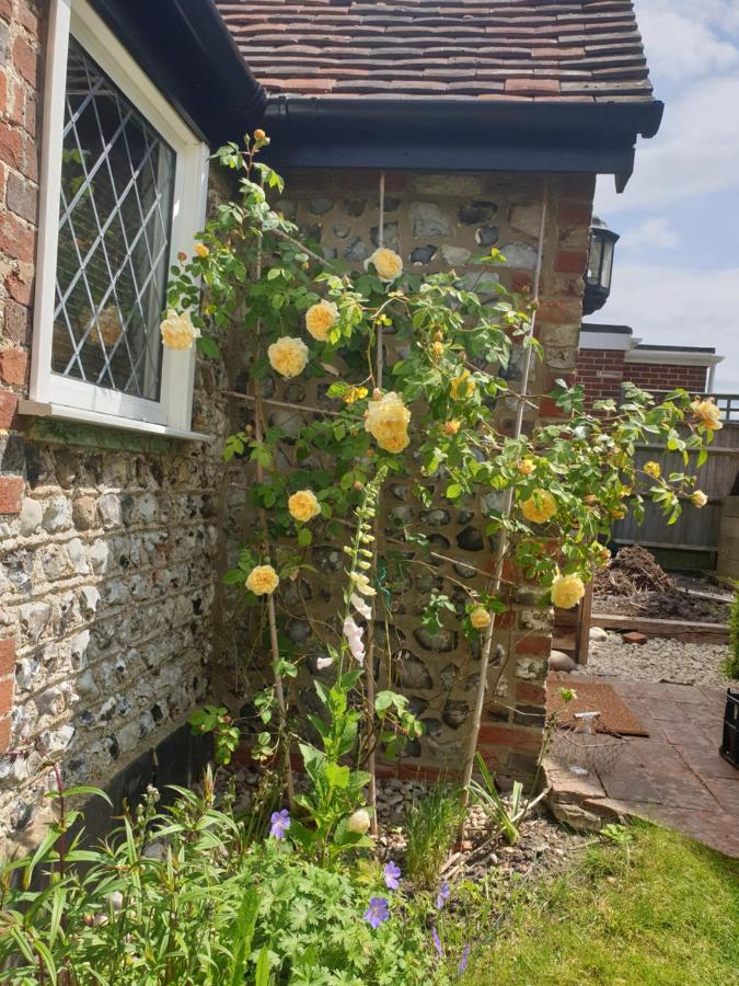 Delightful Cottage On The River Adur Close To Brighton & The Downs No Dogs Sorry Upper Beeding Zewnętrze zdjęcie
