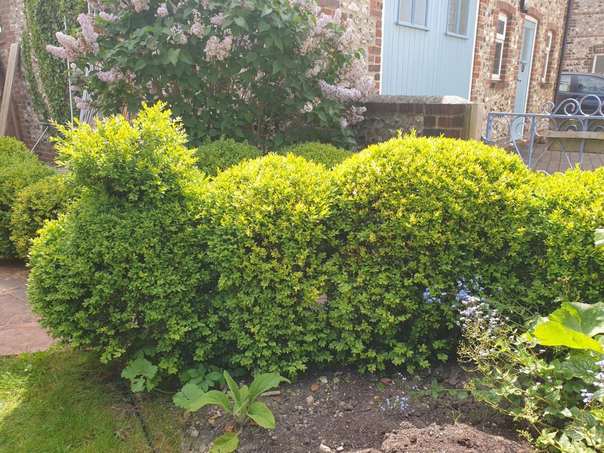 Delightful Cottage On The River Adur Close To Brighton & The Downs No Dogs Sorry Upper Beeding Zewnętrze zdjęcie